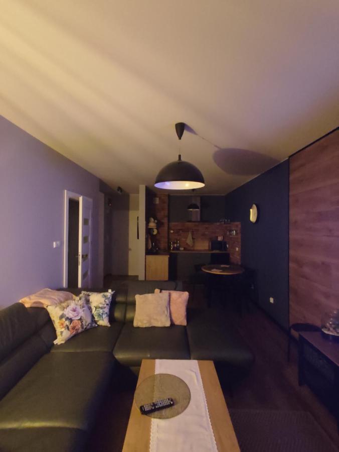 Lux Apartament Odkryj - Bieszczady Ustrzyki Dolne Esterno foto